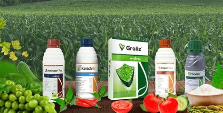Is Dawn a fungicide?