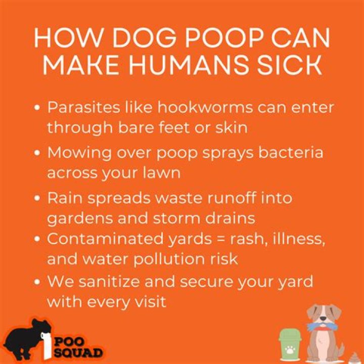 Is dog poop poisonous to humans?