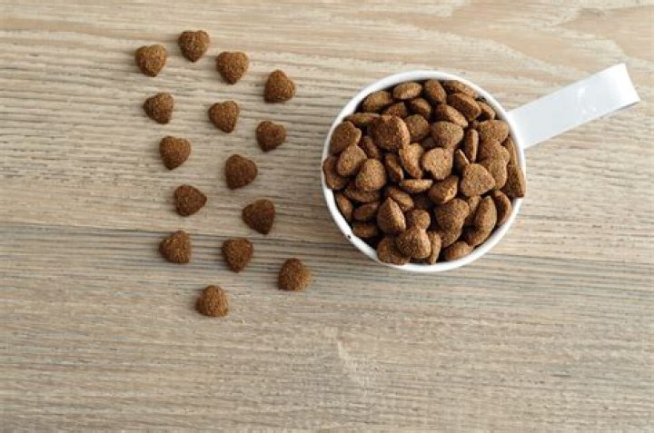 Is dry food better for dogs?