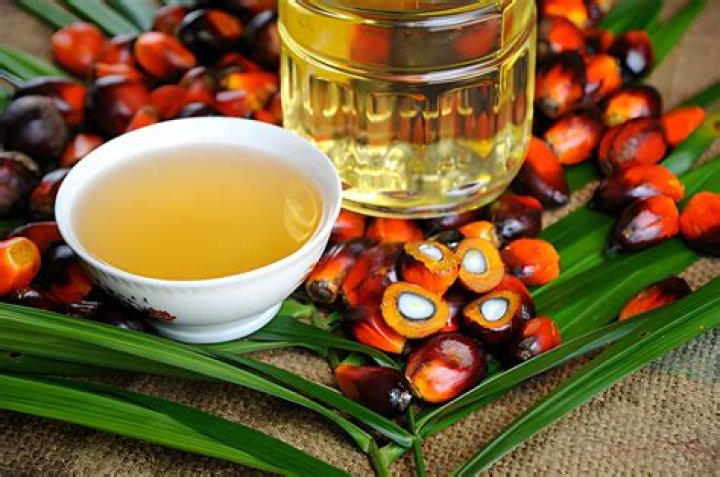 Is ghee better than coconut oil?