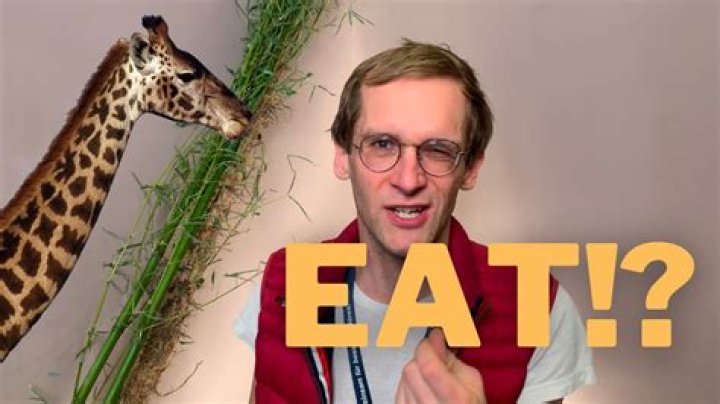 Is giraffe meat edible?