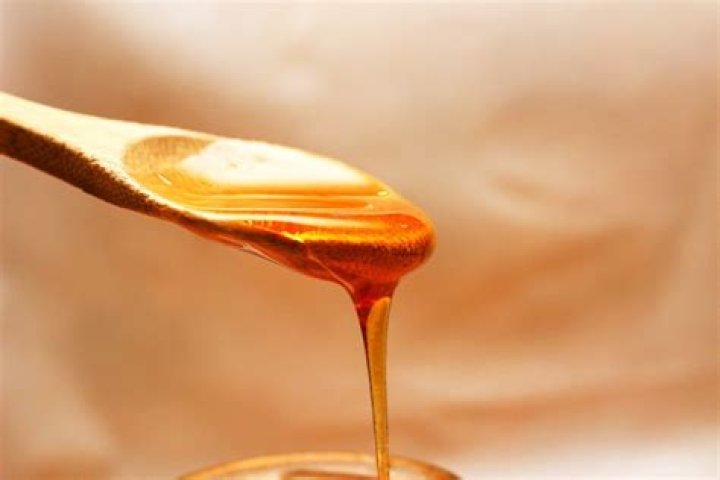 Is honey made from bee vomit?