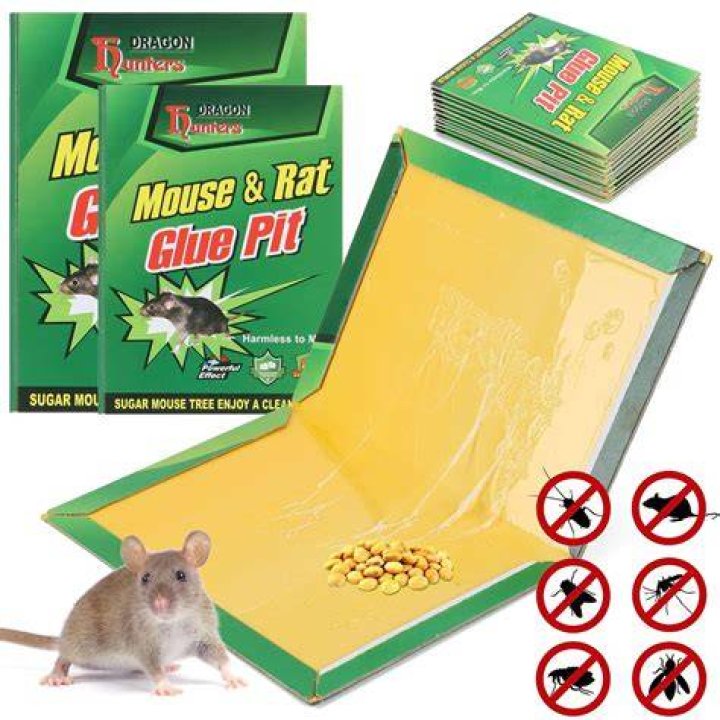 Is hot glue bad for cats?