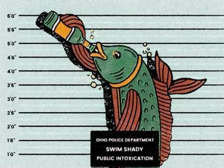 Is it illegal to get a fish drunk in Ohio?