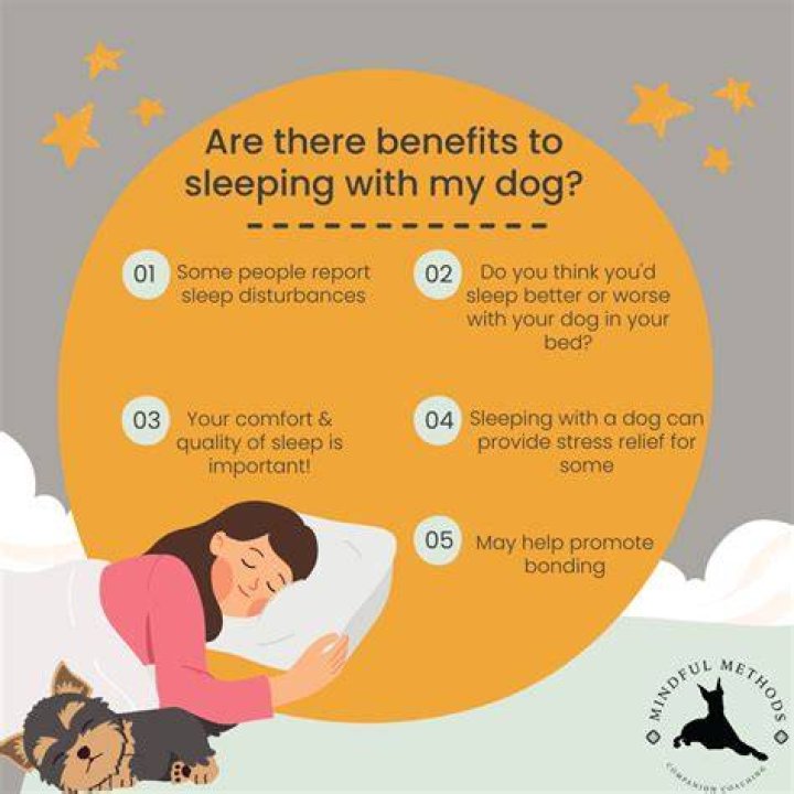 Is it OK for dogs to sleep with you?