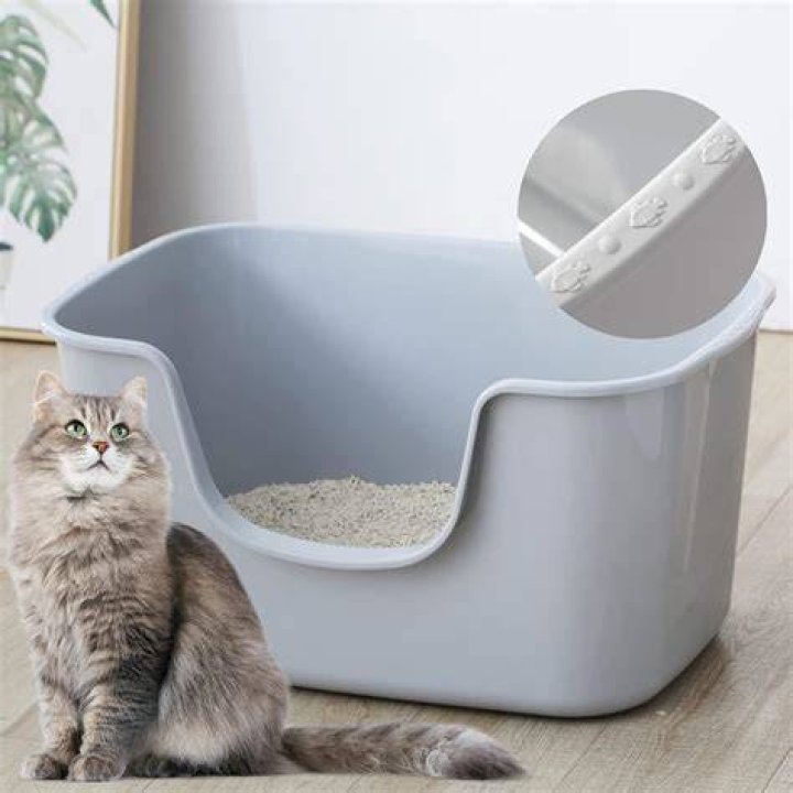 Is it OK to move a cat's litter box?
