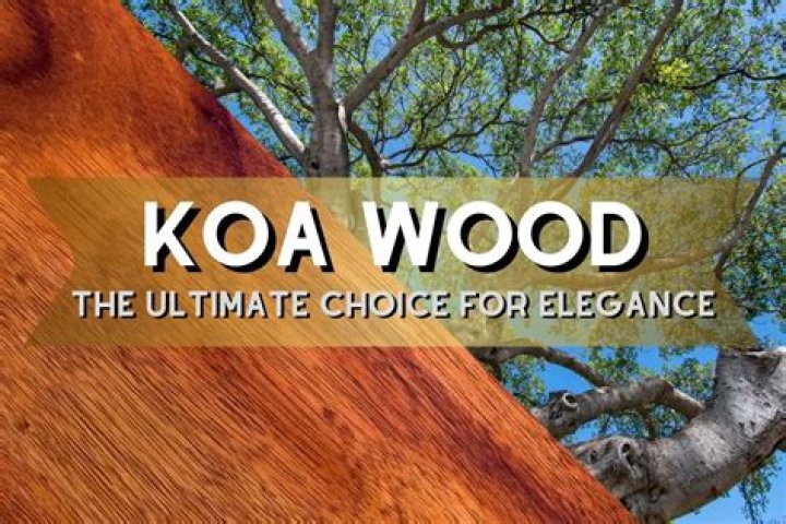 Is Koa wood protected?