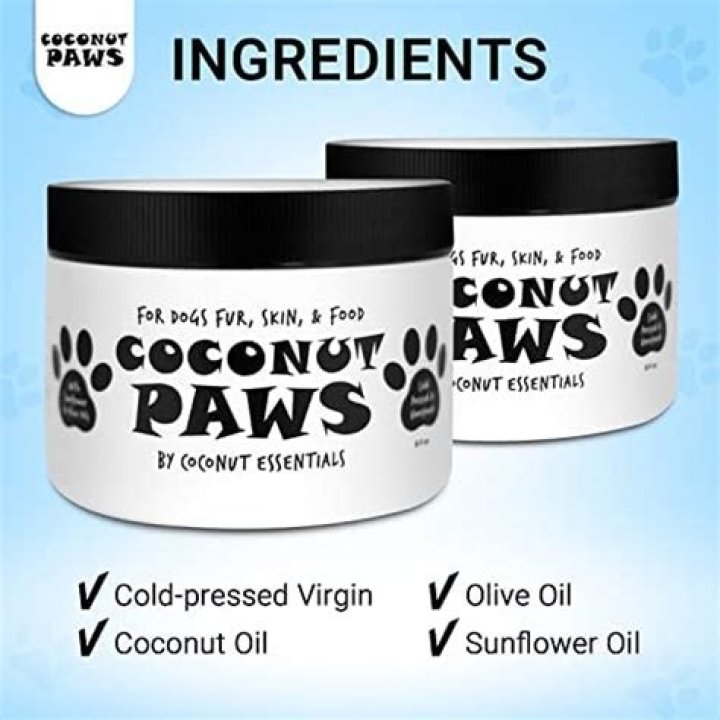Is olive oil or coconut oil better for dogs?