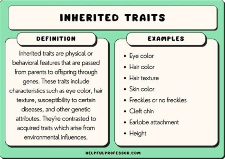 Is personality inherited?