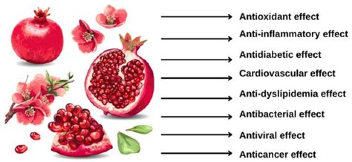 Is pomegranate heat or cold?