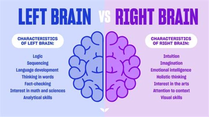 Is programming left or right brain?