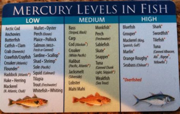 Is salmon high in mercury?