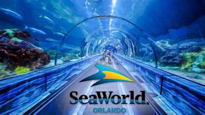 Is SeaWorld Orlando at full capacity?