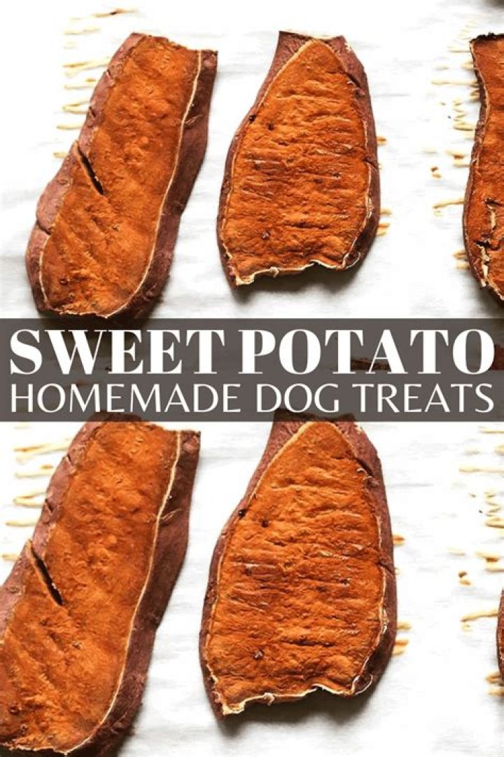 Is sweet potato bad for dogs?