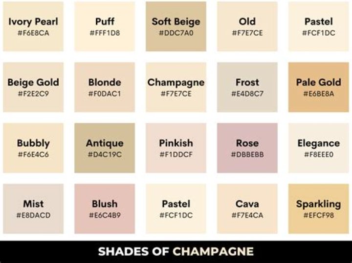 Is Tan and champagne the same color?