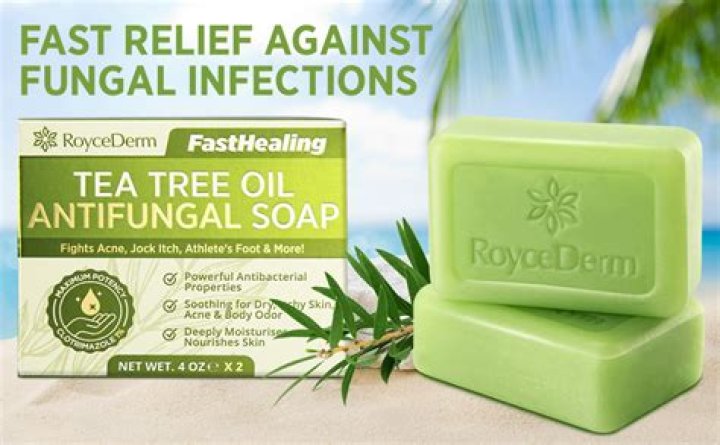 Is tea tree anti fungal?