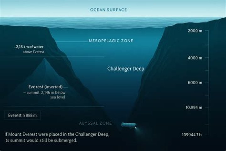 Is that my plastic bag in the Mariana Trench?