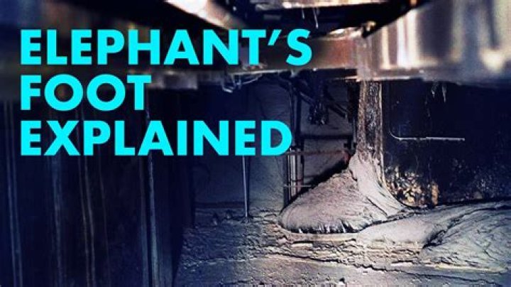 Is the elephant's foot still lethal?