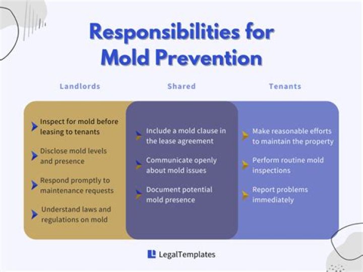 Is the landlord responsible for mold?