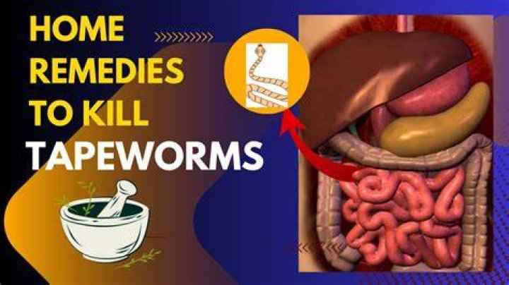 Is there a home test for tapeworms in humans?