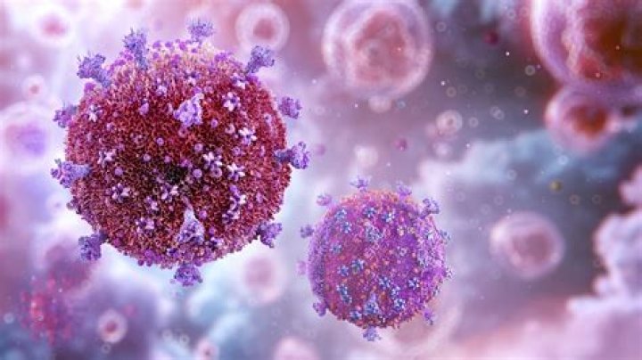 Is there a virus that attacks your joints?