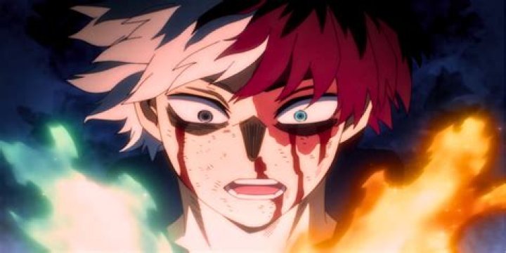 Is Todoroki an INTP?