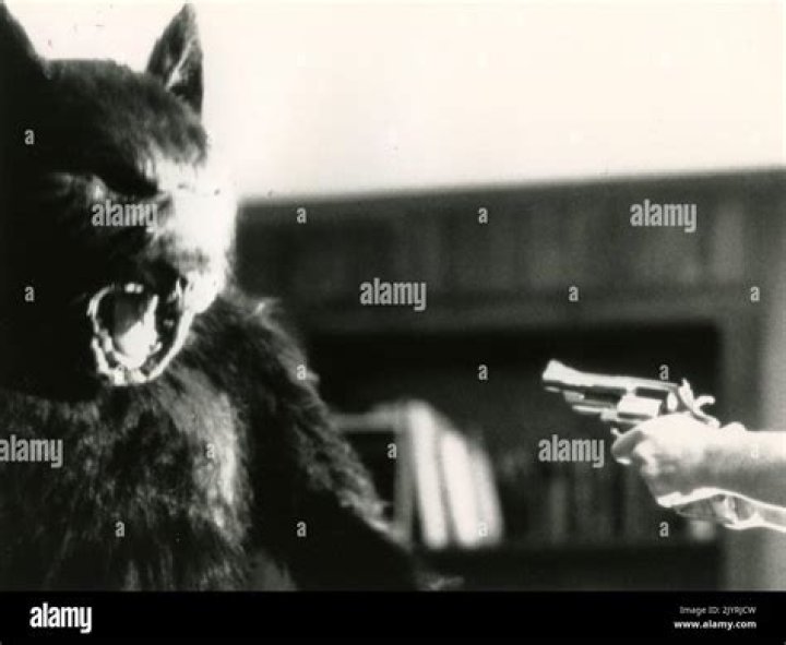Is turning into a werewolf painful?