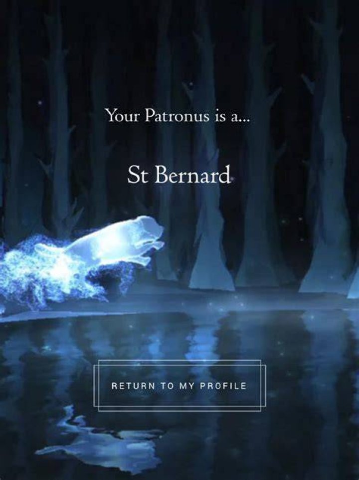Is your patronus your Animagus?