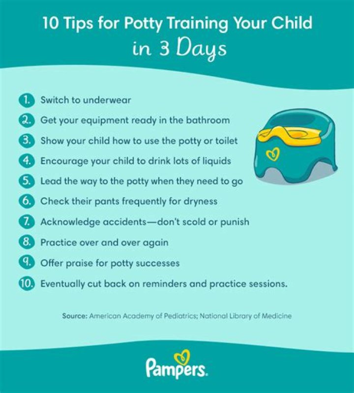 Should a 3 year old be potty trained?