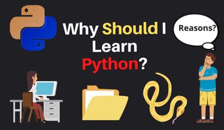 Should I learn Python?