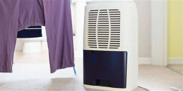 Should I put dehumidifier in attic?