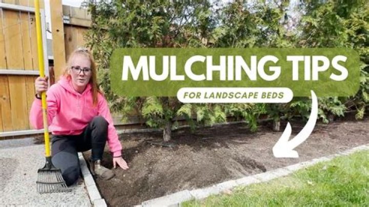 Should I put mulch in my flower bed?