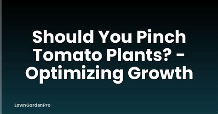 Should you pinch tomato plants?