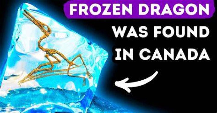 Was a frozen dragon found?