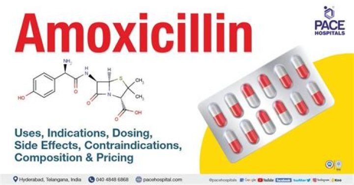 What's amoxicillin do?