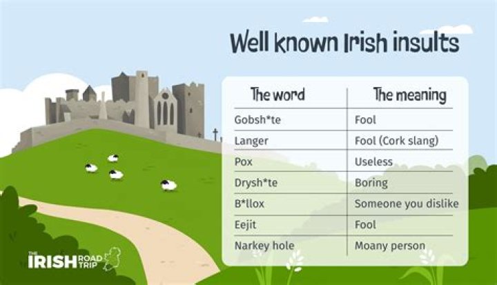 What's an insulting word?