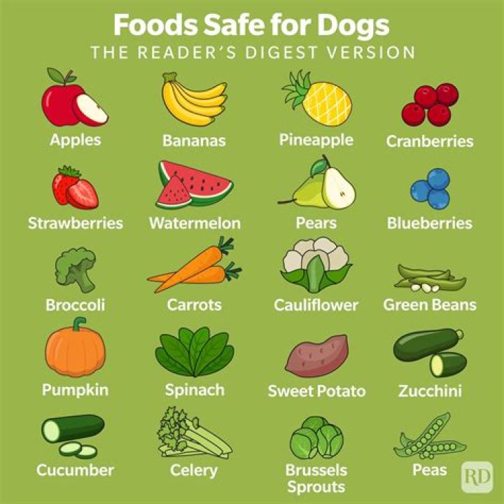 What's the best fruit for dogs?