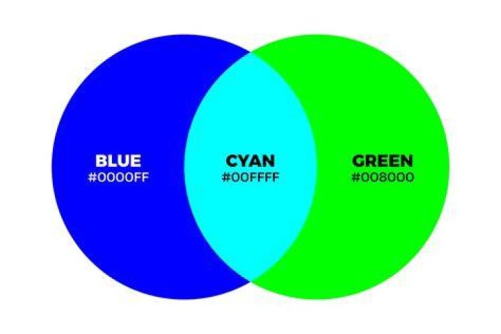 What's the difference between blue and green texts?