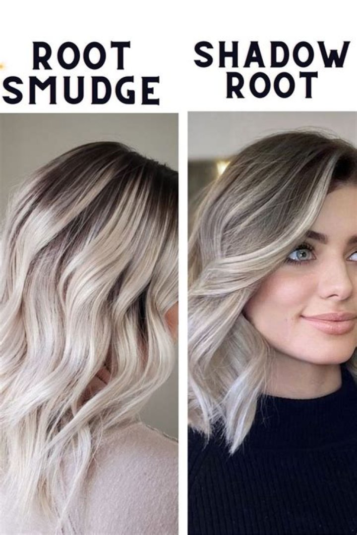 What's the difference between shadow root and root melt?