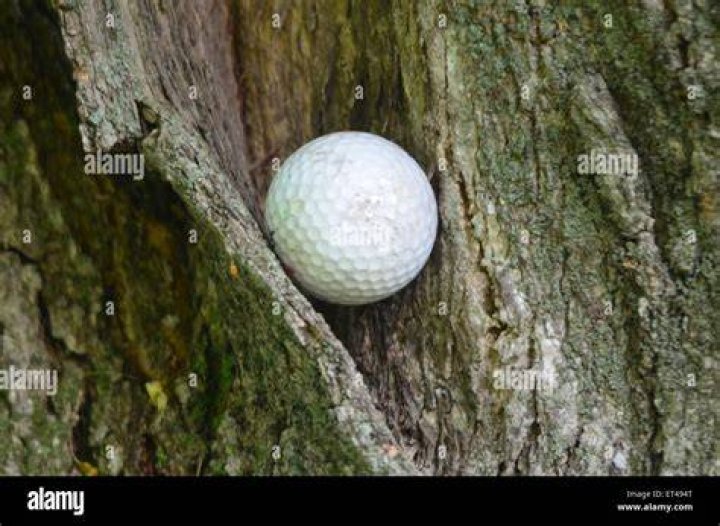 What's the rule for a golf ball stuck in a tree?