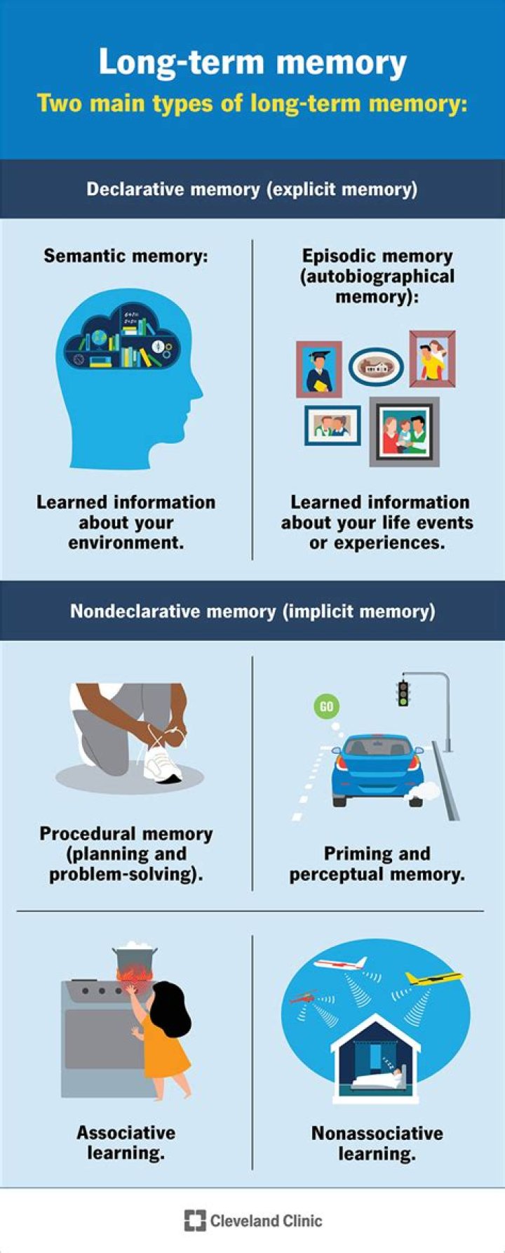 What age is memory best?