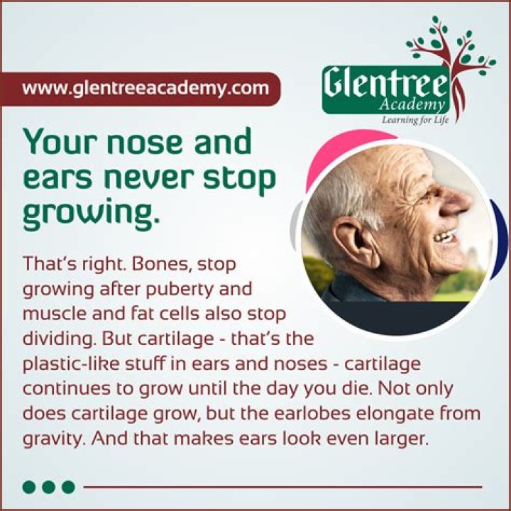 What age will your nose stop growing?
