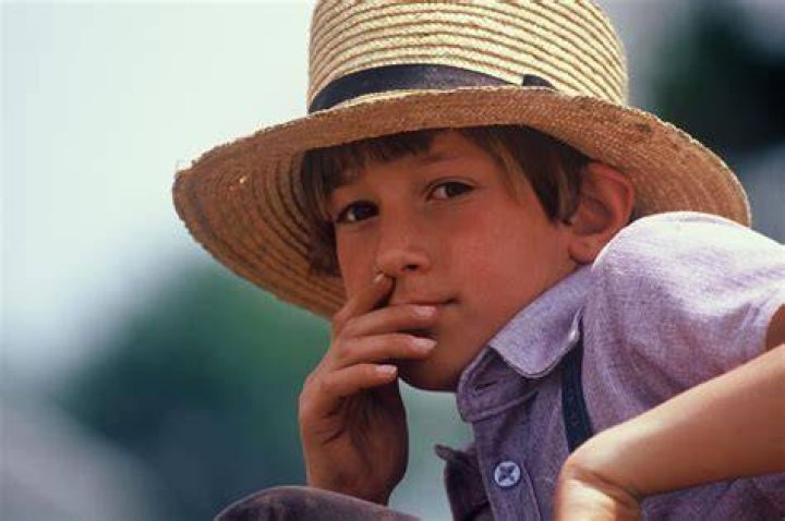 What are Amish children allowed to play with?
