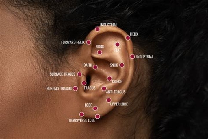 What are Ashley piercings?