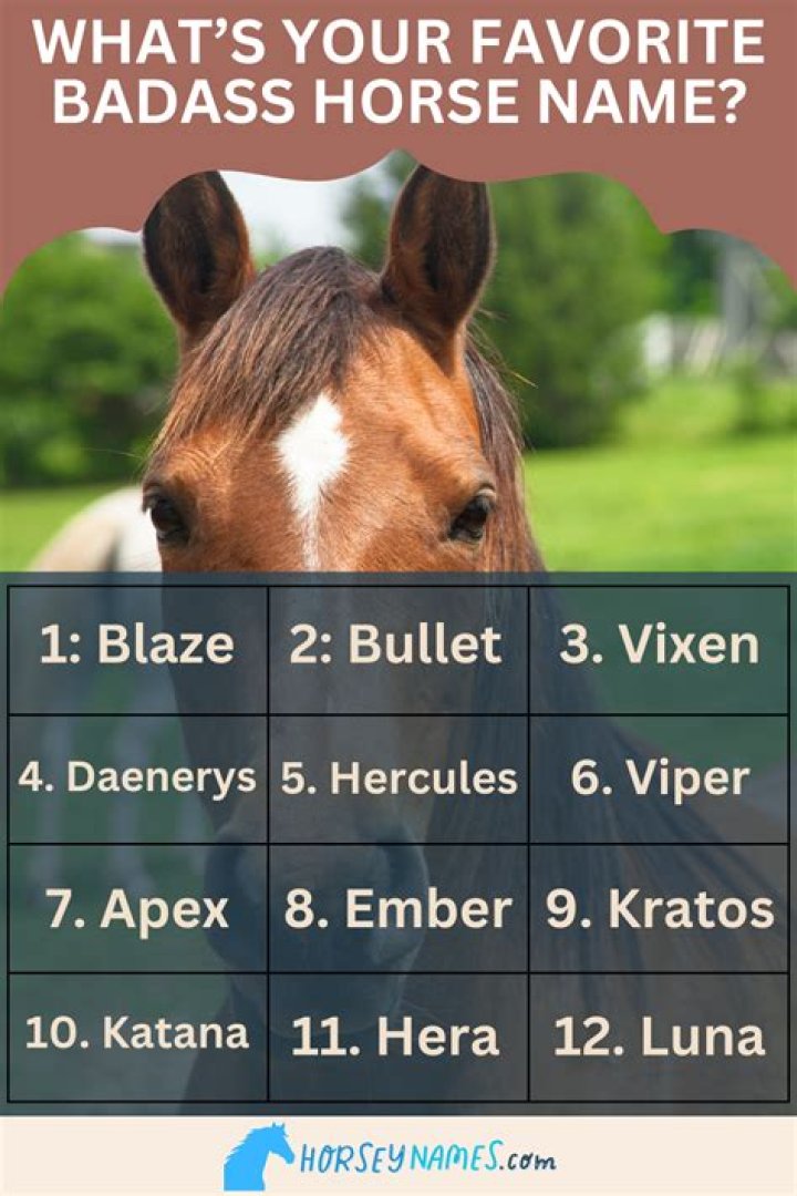 What are badass horse names?
