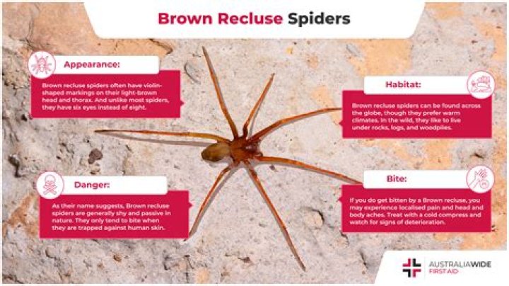 What are brown signs called?