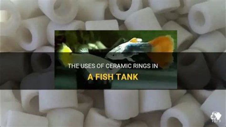 What are ceramic rings used for in a fish tank?