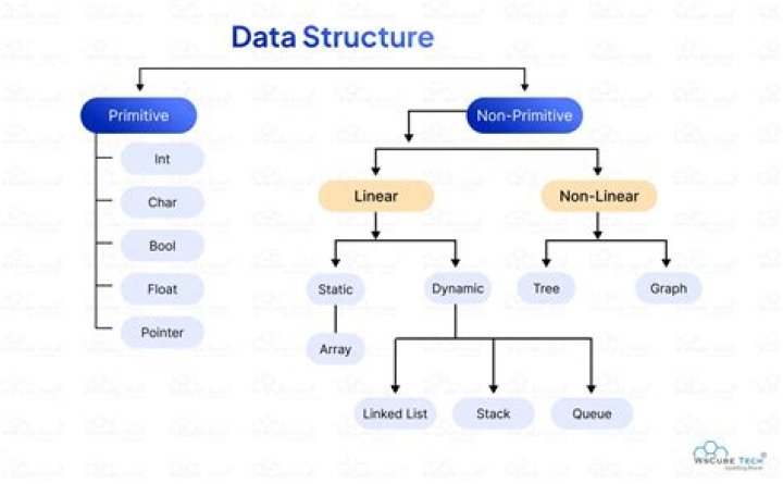 What are different types of data structure?