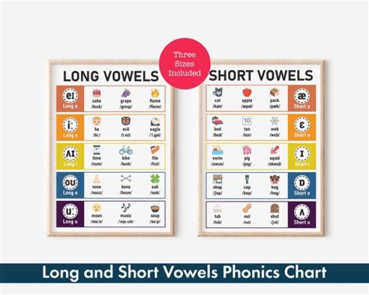 What are examples of long and short vowels?