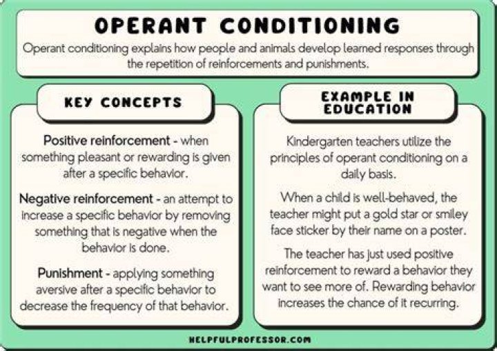 What are examples of operant conditioning in the classroom?